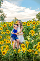 sunflower 2022
